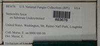 Image Associated With the Occurence